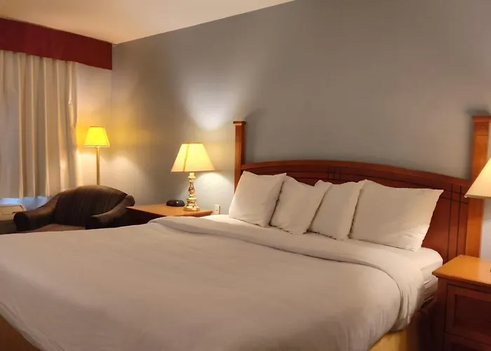 Metro Inn