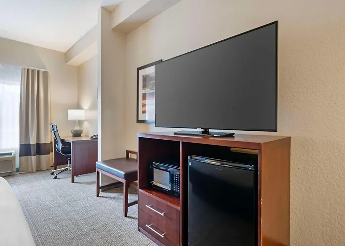 Comfort Suites Downtown