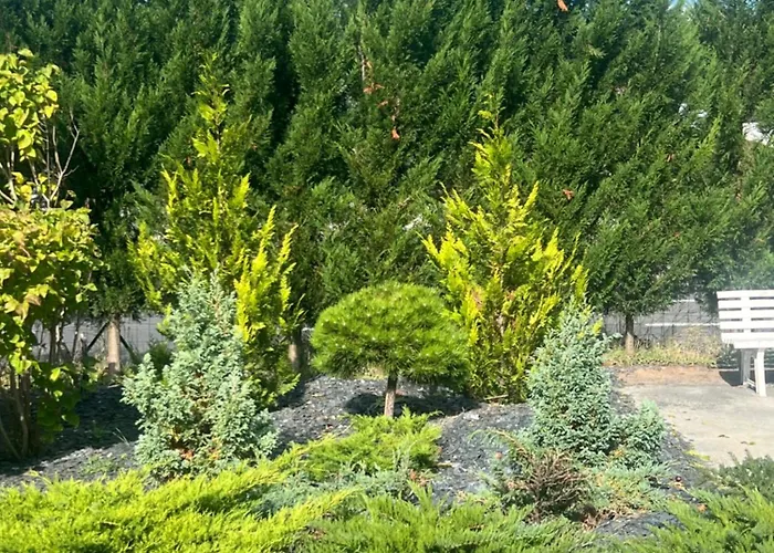 Hôtels pas chers à Dammarie-lè-Lys