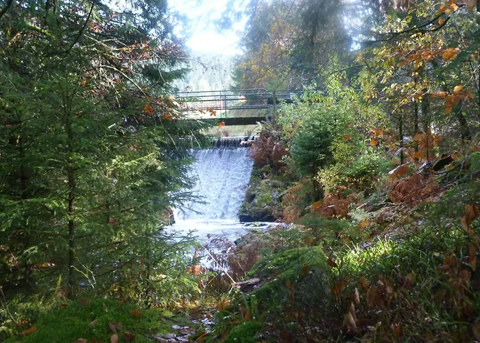 Auberge Des Hauts Viaux