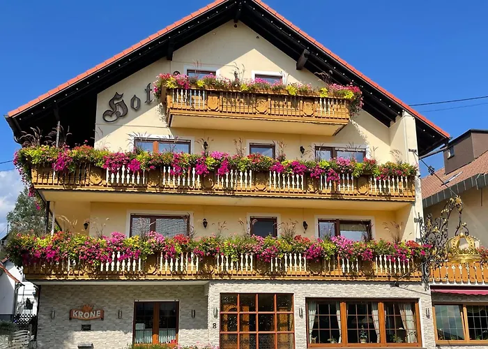 Hotel Krone Igelsberg