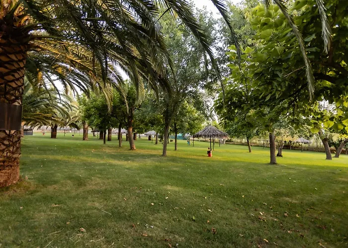 Bungalows Camping