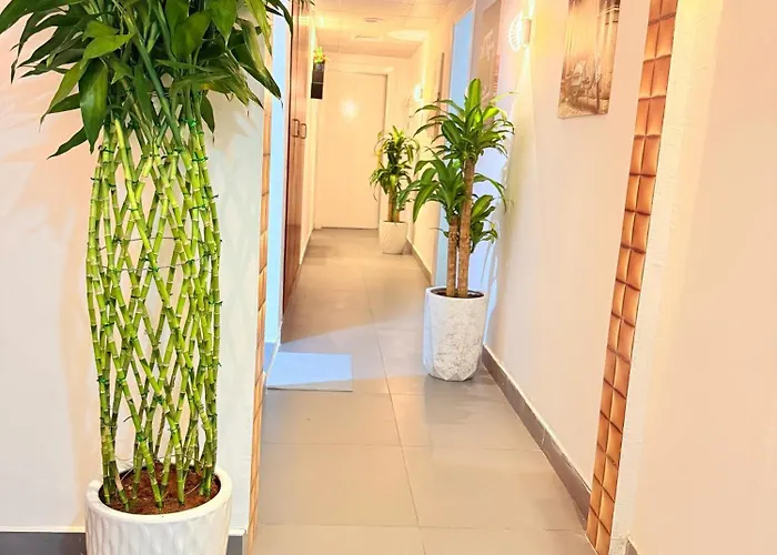 Orchid International