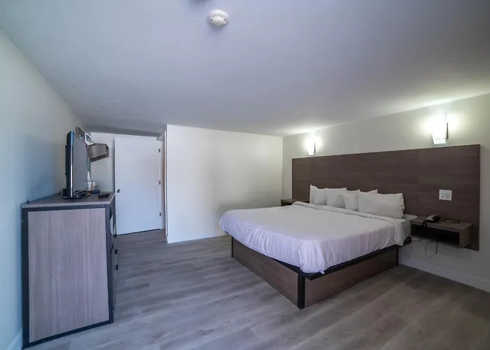 Viking Shores Motor Inn