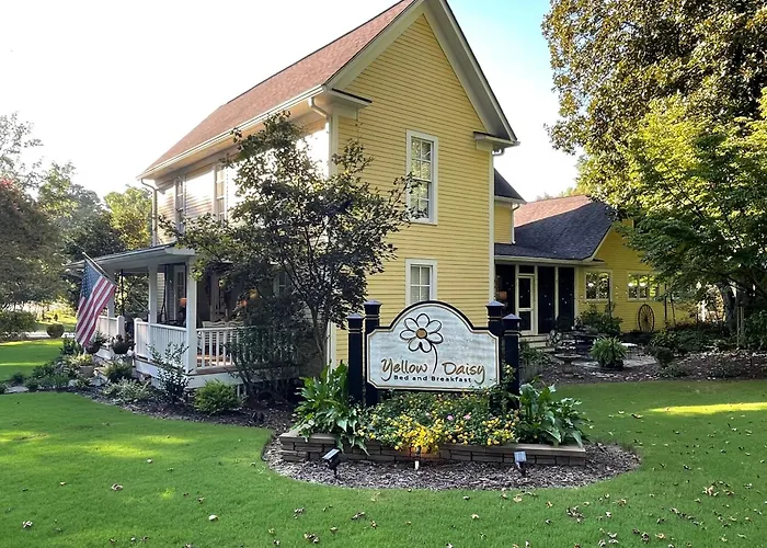 Yellow Daisy Bed And Breakfast