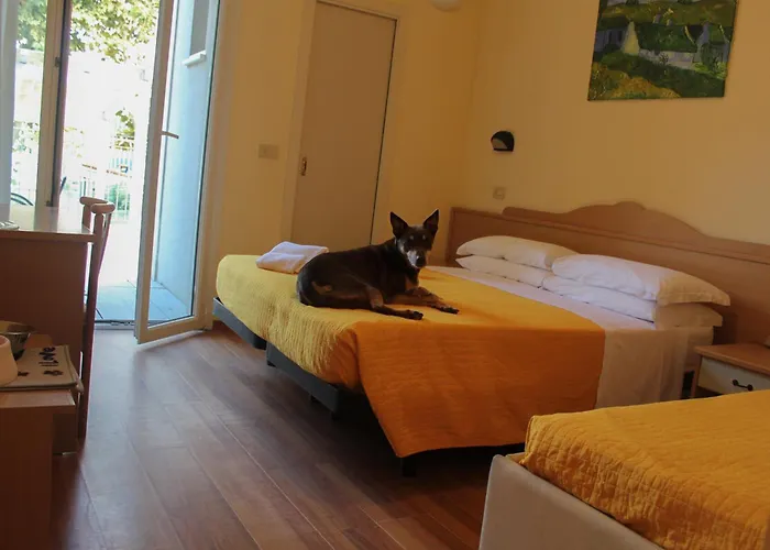Pet Hotel Virginia - Hotel per cani