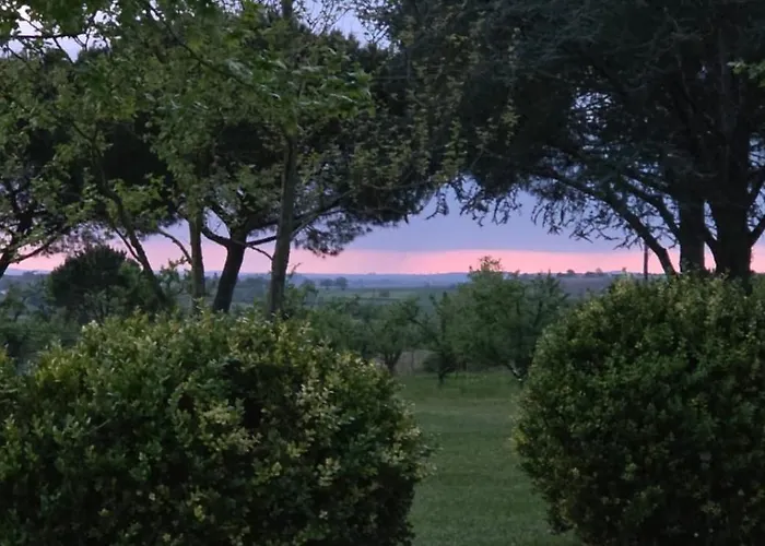 Gîte de Beausoleil La Romieu