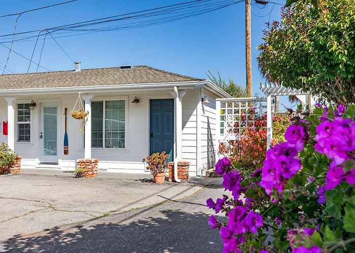 Swell House Santa Cruz