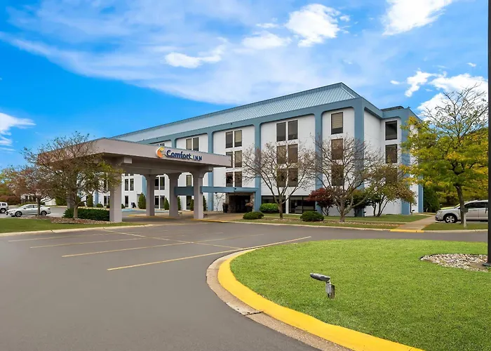 Comfort Inn Cadillac