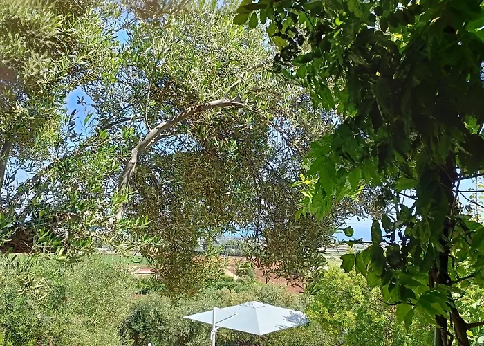 le finestre sul mare
