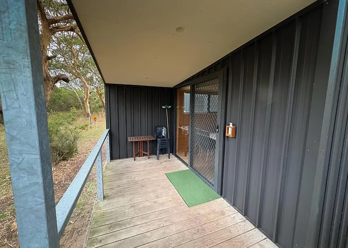 Bimbi Park - Camping Under Koalas