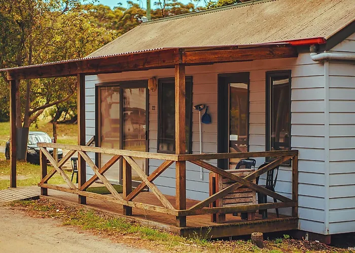 Bimbi Park - Camping Under Koalas Cape Otway