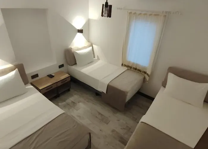 The Professor'S Hotel