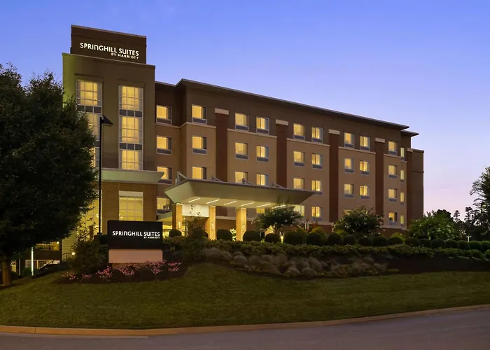 Springhill Suites By Marriott