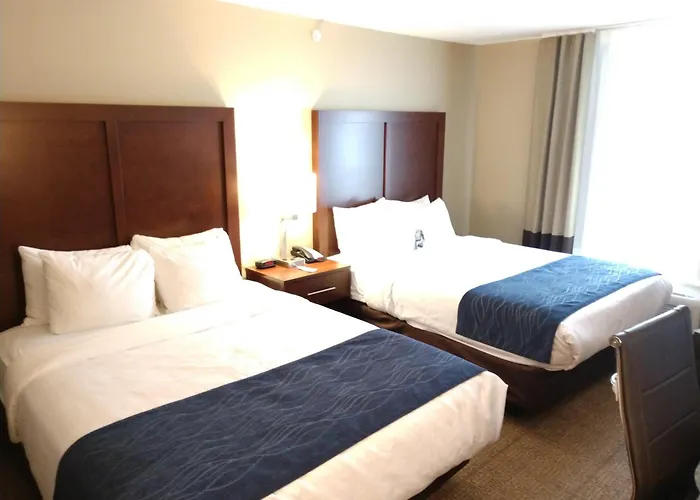 Comfort Inn & Suites Cooperstown - Milford