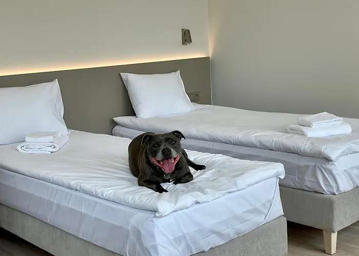 Aparthotel Aurum