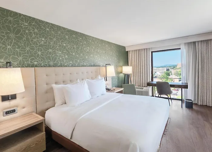 Hilton Birmingham Downtown At Uab