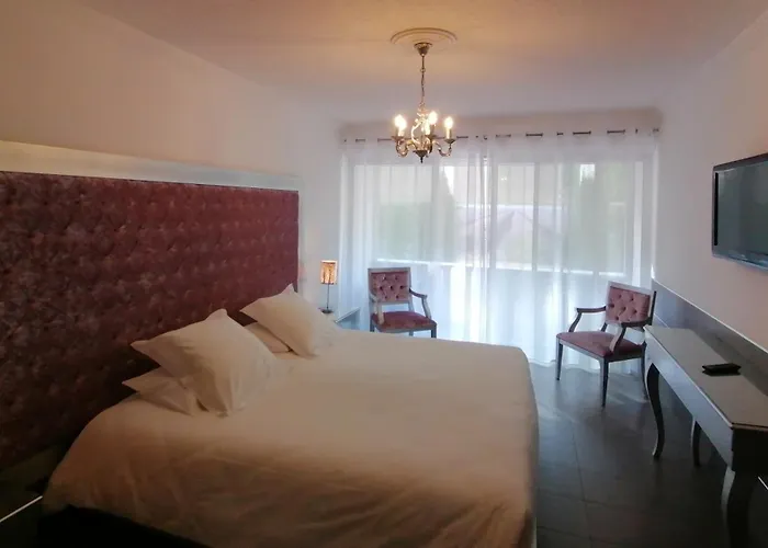 Hôtel Les Deux Lions