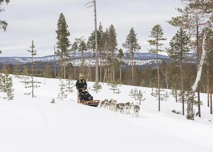 Star Arctic Hotel & Activities