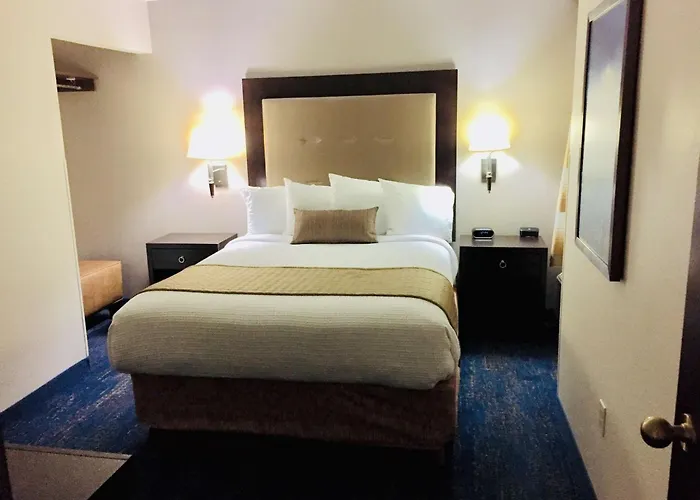 Best Western Plus Airport & Suites