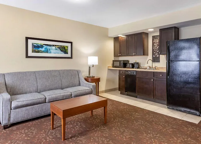 Comfort Inn Okemos - East Lansing