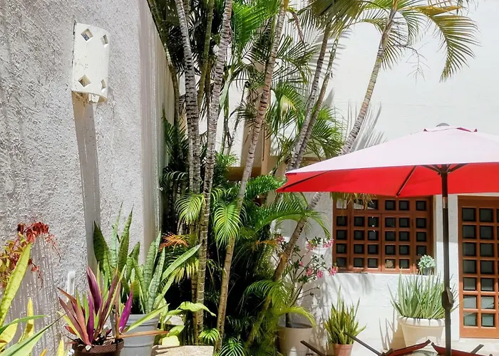 Bed And Breakfast Pecari