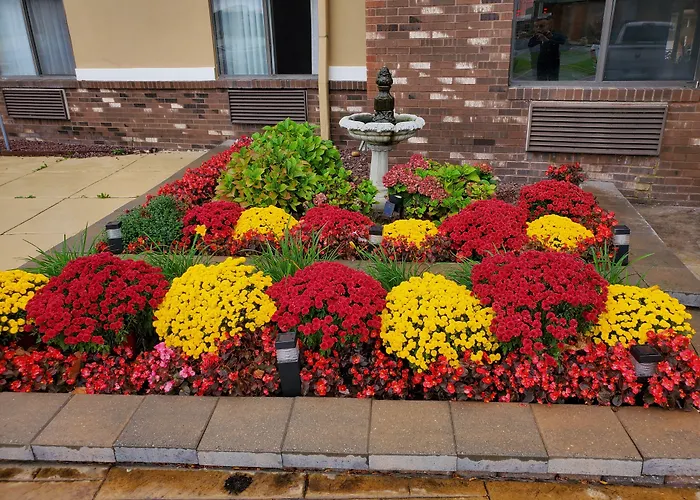 Super 8 By Wyndham Sterling Heights/Detroit Area