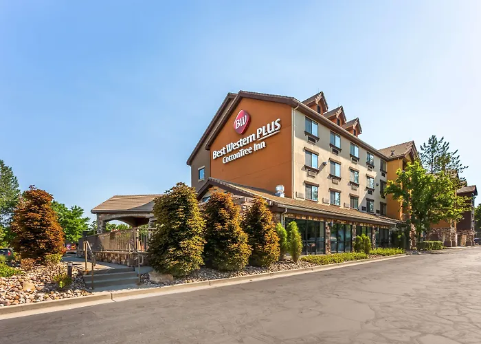 Best Western Plus Cotton Tree Inn