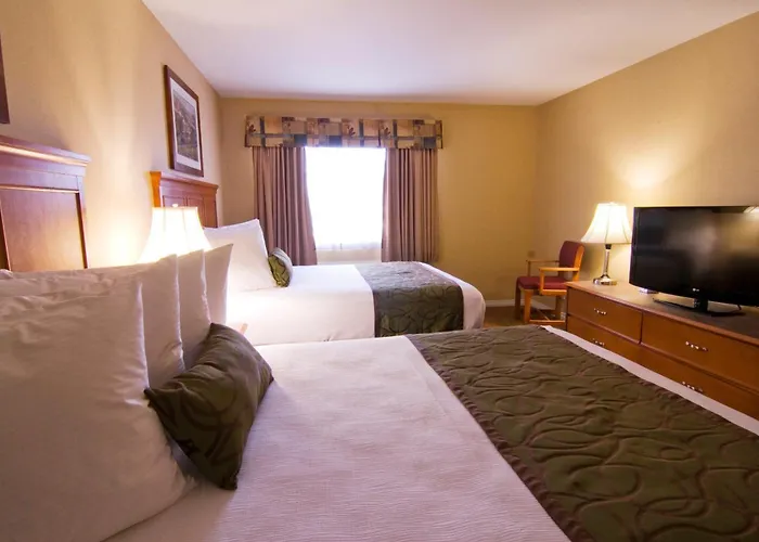 Best Western Plus & Suites