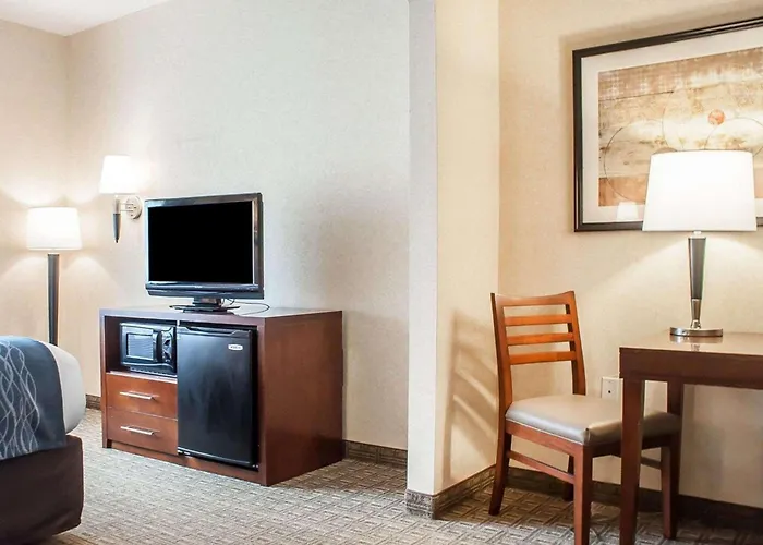 Comfort Inn & Suites Hamburg - Buffalo South
