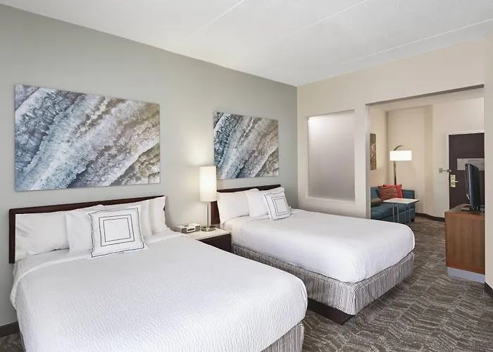 Springhill Suites By Marriott Chicago Schaumburg/Woodfield Mall