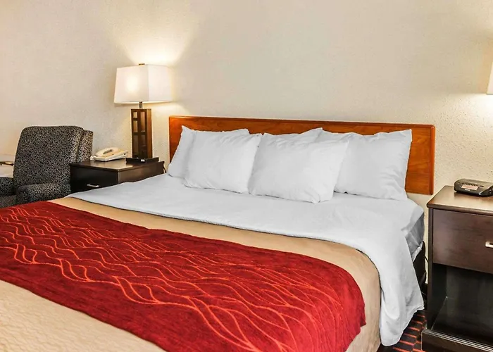 Comfort Inn Avon-Indianapolis West