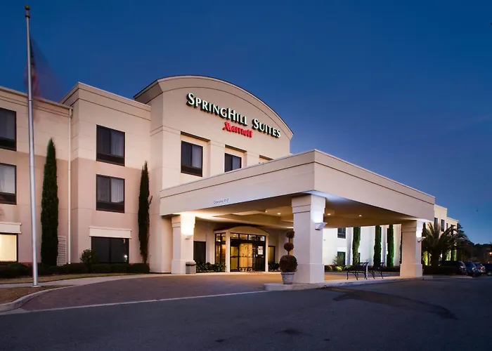 Springhill Suites By Marriott Savannah I-95 South