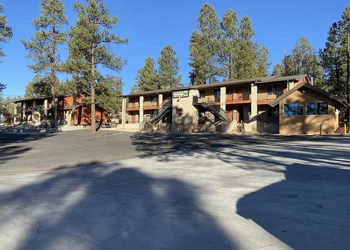 Motel In The Pines