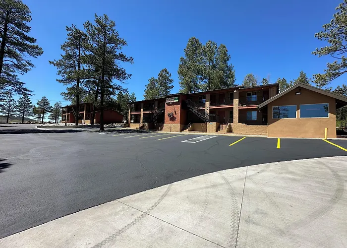 Motel In The Pines