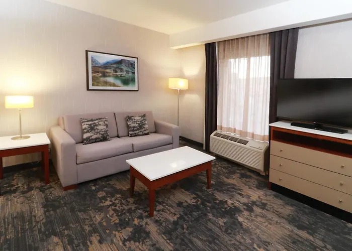 Hampton By Hilton Chihuahua