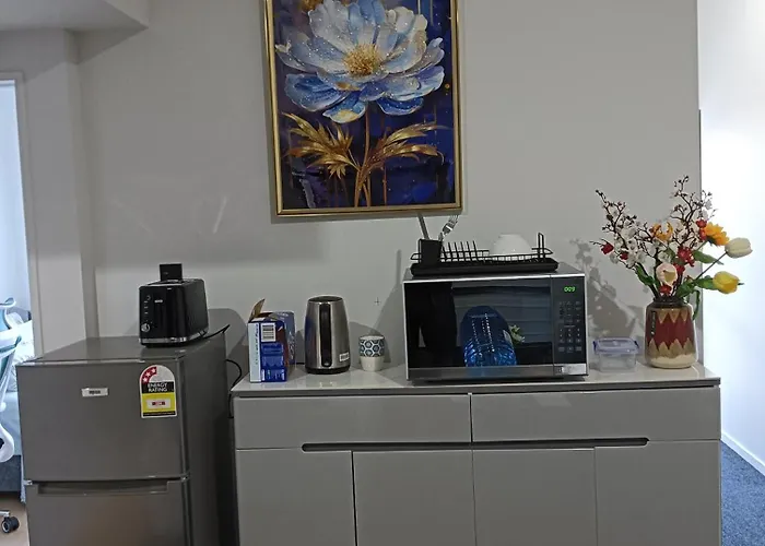 Ensuite Room With Aircon Walk To Pakuranga Plaza
