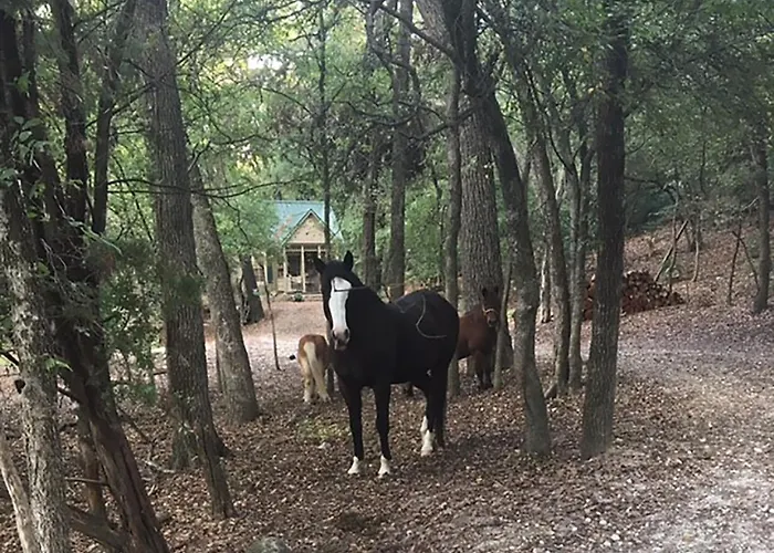 Country Woods Inn