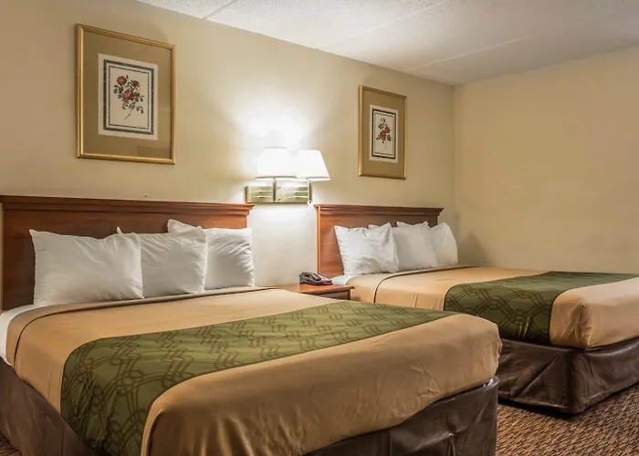 Econo Lodge Inn & Suites Lugoff