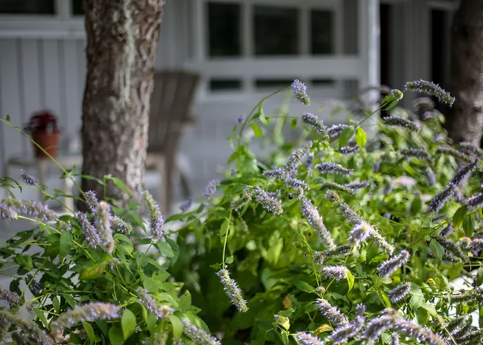 Hamlet Inn