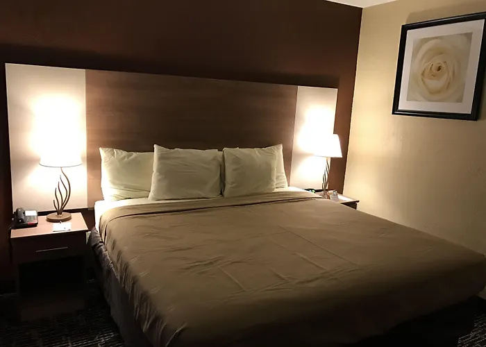 Quality Near Pimlico Racetrack