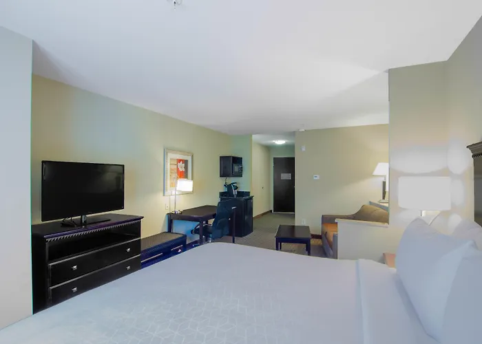 Comfort Suites Mobile-South Alabama University Area