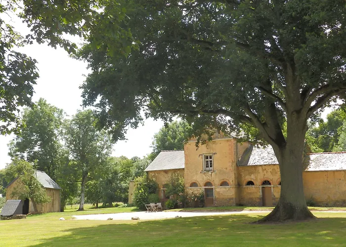 Château Du Pin - Les Collectionneurs