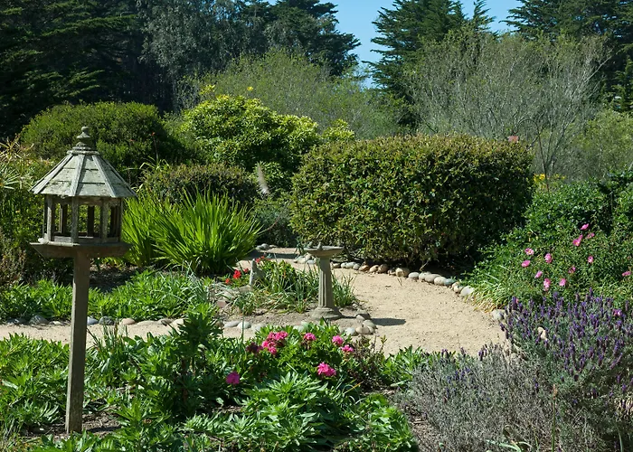 Seal Cove Inn