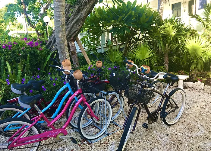 Coconut Palm Inn