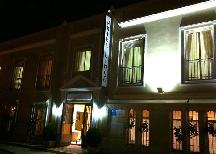 Hotel Lince