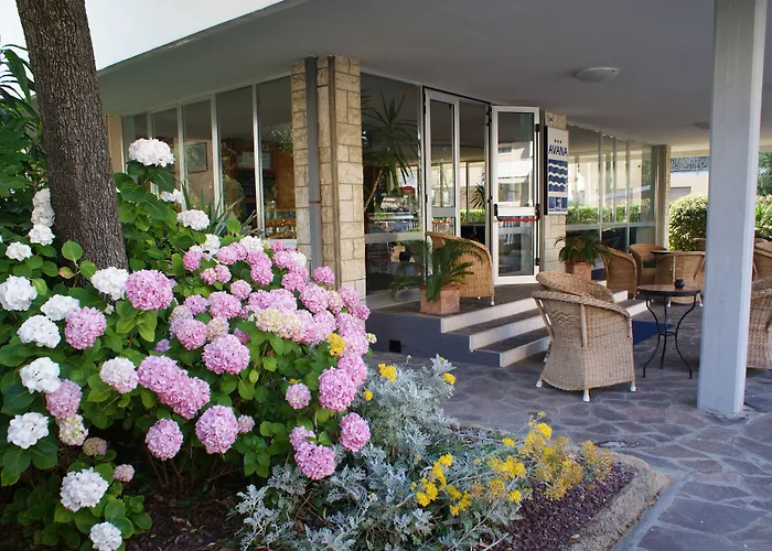 B&B Avana
