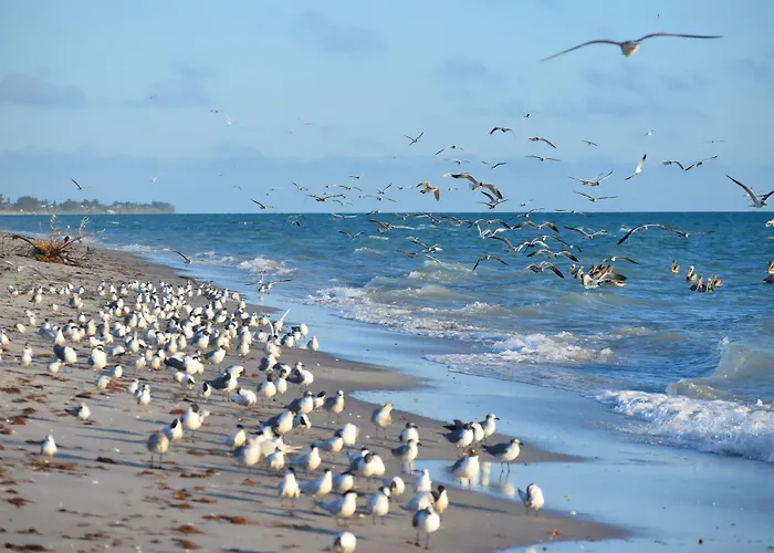 Casey Key Resorts - Beachfront Nokomis
