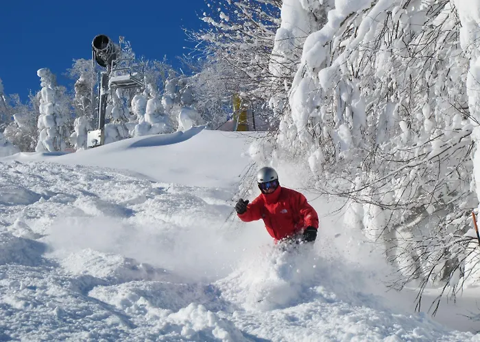 Rimfire Hotel Snowshoe