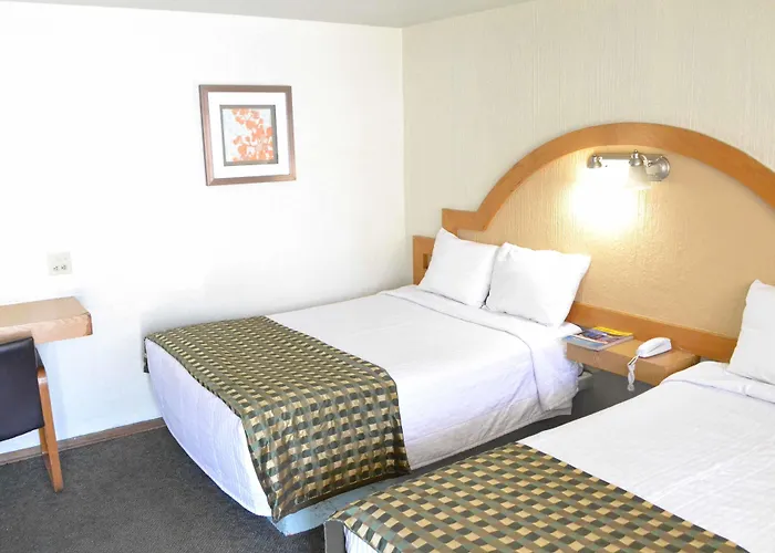 Hotel Flamingo